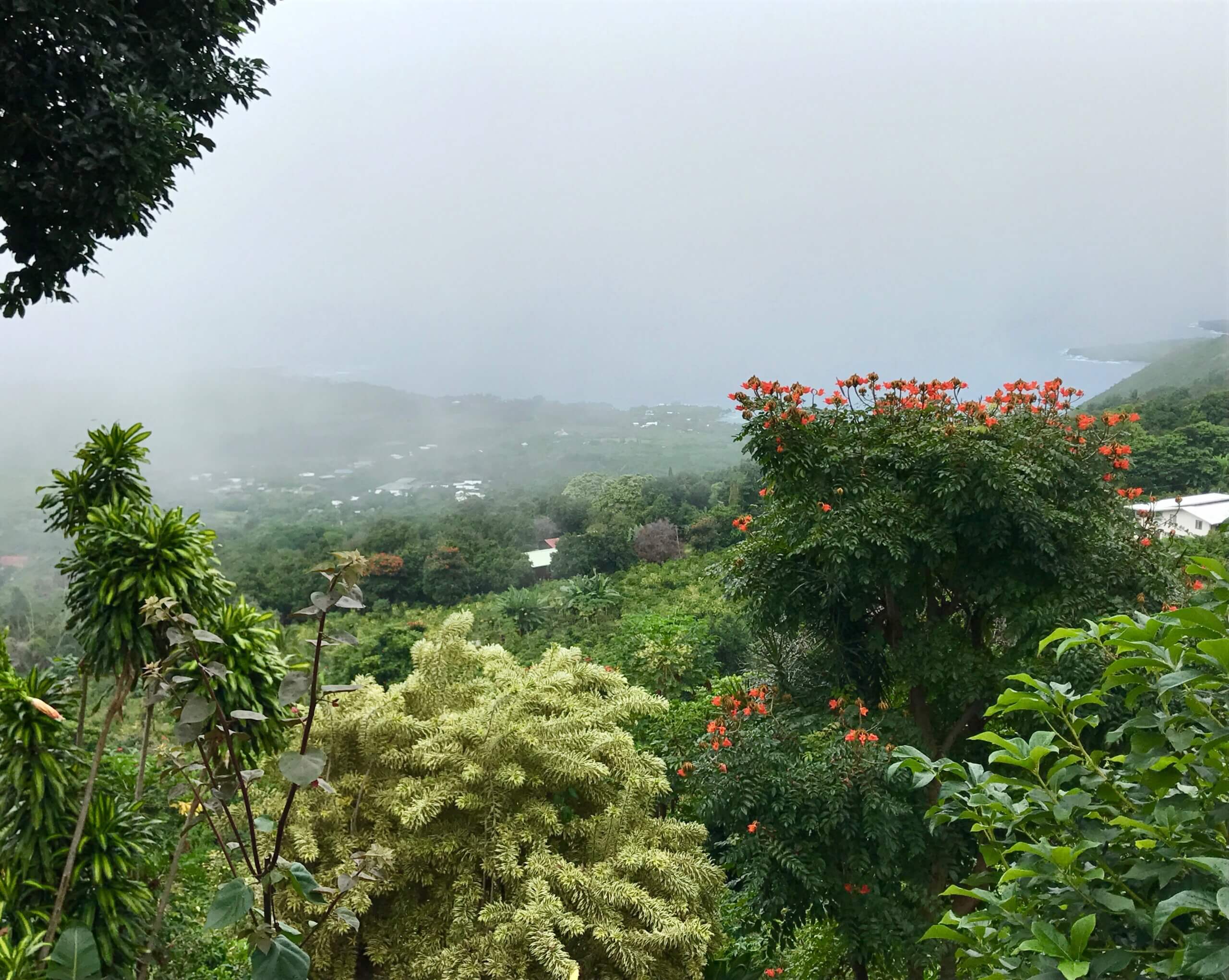 Kona views