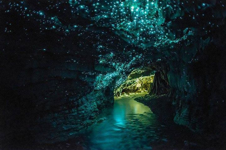 inside Waitomo glowworm caves