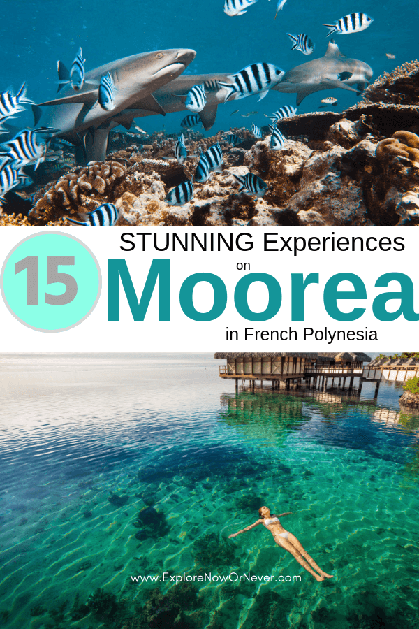 Things to do in Moorea | French Polynesia | French Polynesia travel |French Polynesian islands | Moorea French Polynesia things to do