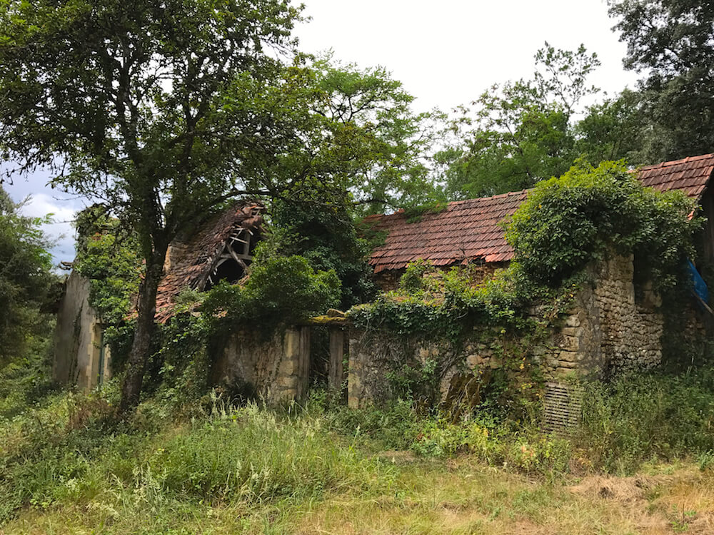 crumbling farm house overgrown with trees