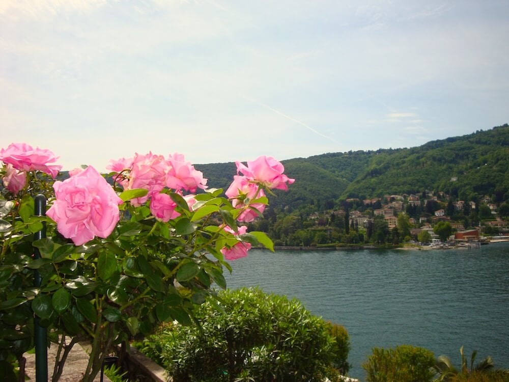 pink roses overlooking the lake on Isola Bella