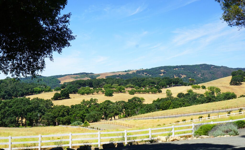 rural rolling hills of Paso Robles