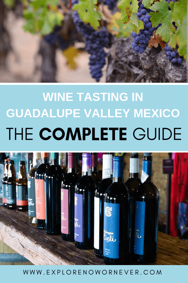 Check out the AMAZING wine and food scene in Baja! Go here for the perfect three day wine tasting itinerary in Valle de Guadalupe! A comprehensive guide and interactive map for 3 days south of the border. Day 1: Drive from San Diego for lunch and drinks at the beach. Day 2 &:3: Sample the foodie scene in the valley and taste at wineries big on flavor and atmosphere in the valley. #ValledeGuadalupe #ValledeGuadalupewinetasting #Mexicotravel #ValledeGuadalupewineries #winetasting