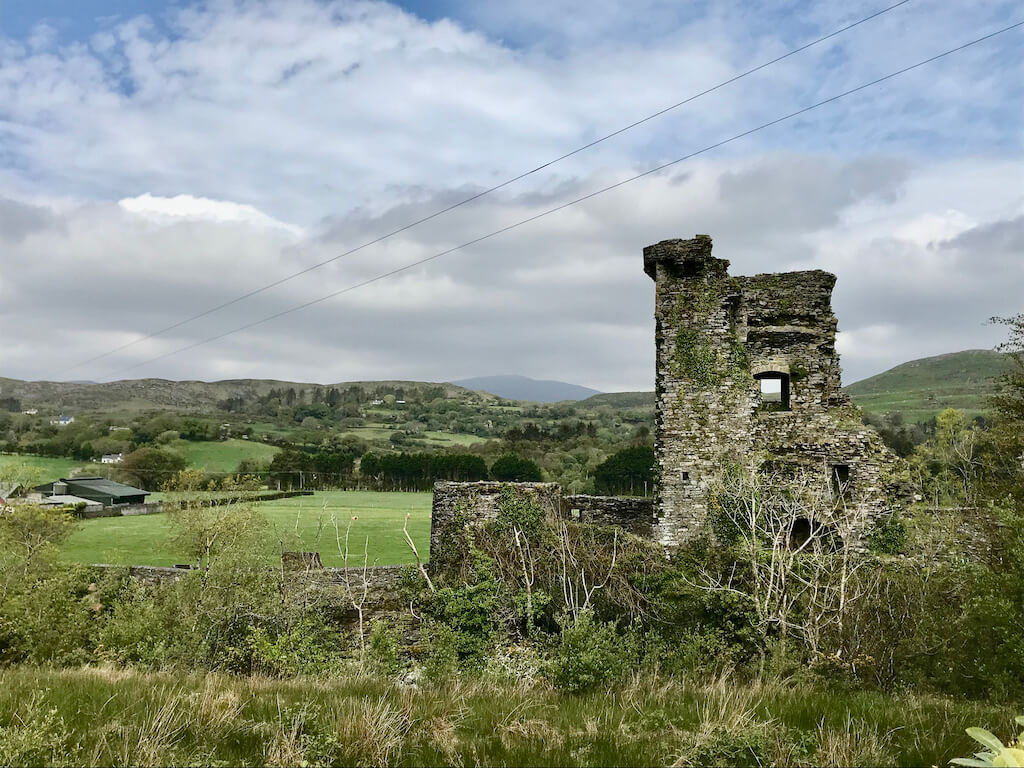 mossy ruins at Cariganass Catle near Glengariff, Ireland