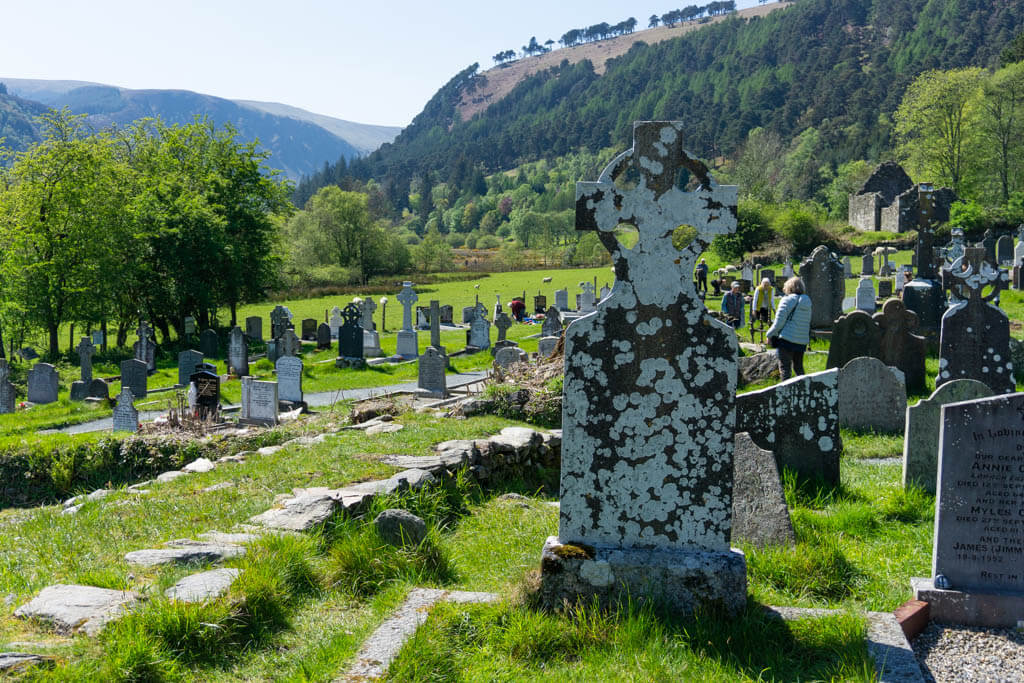 licehn covered Celtic cross in a graveyard