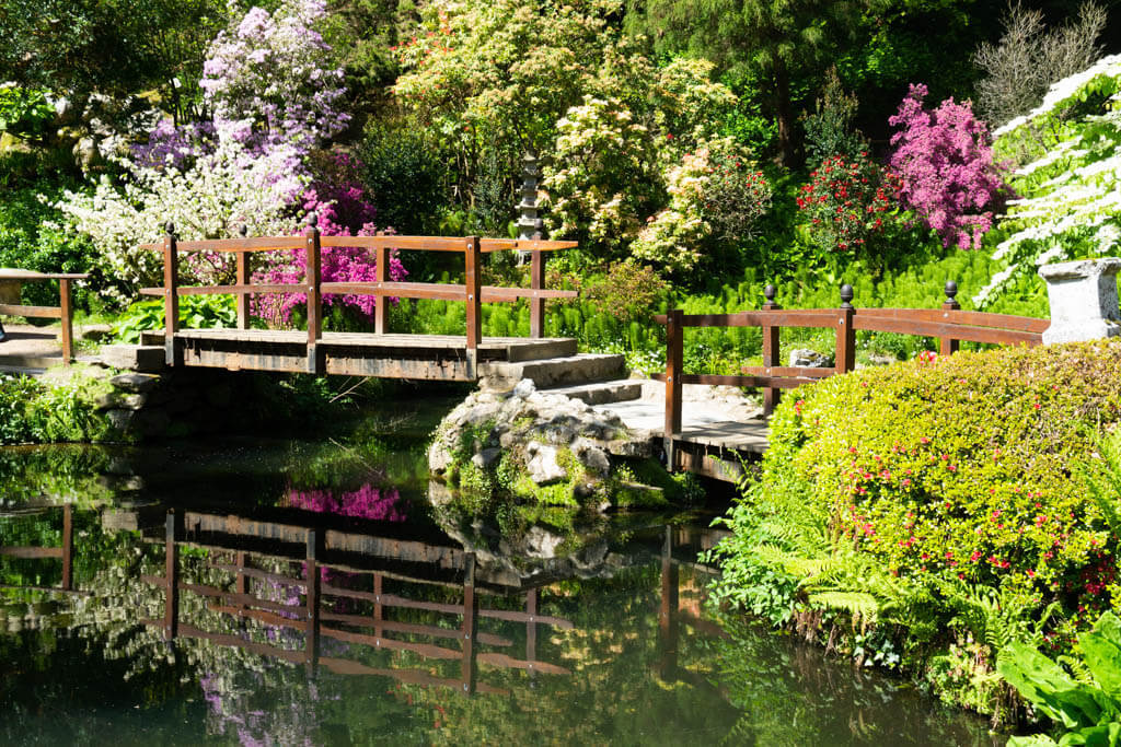 Japanese bridge with reflection in pond