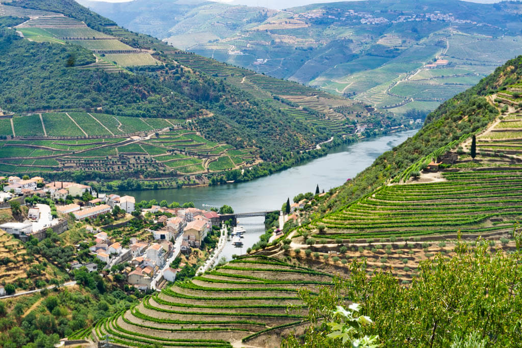 view of terraced vineyards in douro valley with river running through it