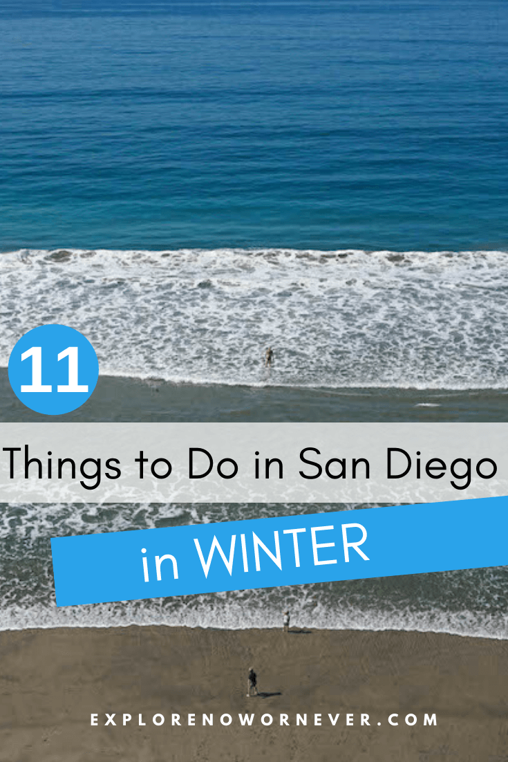 Heading to San Diego in winter? From whale watching and Korean massage to wine tasting and hiking, this guide by a local shares the very best activities. San Diego travel Things to do in San Diego | California bucket list | San Diego travel guide | Southern California travel | San Diego itinerary | San Diego vacation
