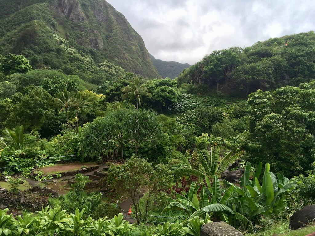 lush green valley in Iao Valley