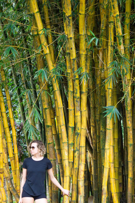 girl in a bamboo forest