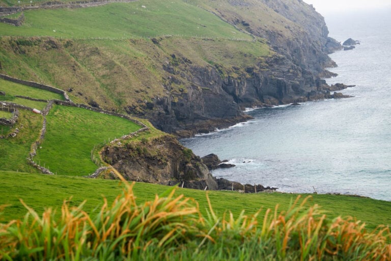 14 Incredible Things to Do in Dingle Explore Now Or Never