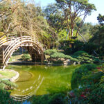 Japanese bridge reflected in the water at Hungtington Gardens in Pasadena