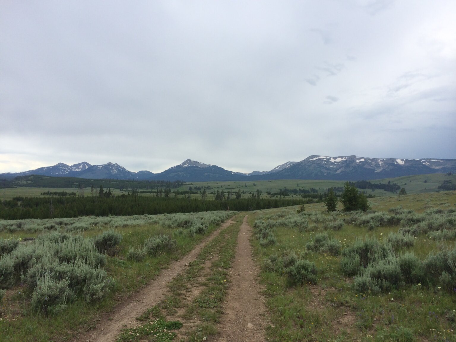 Best Yellowstone Hikes 2024 16 Stunning Adventures Explore Now Or   Osprey Falls 1536x1152 