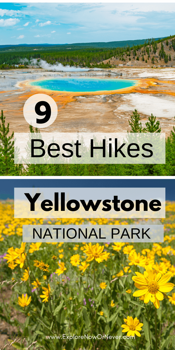 Best Yellowstone Hikes 2024 16 Stunning Adventures Explore Now Or   Yellowstone Hikes 1 