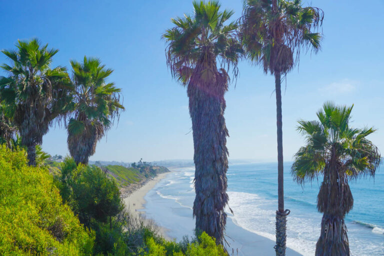 21 Things to Do in Encinitas: A Local's Best Tips (2024) - Explore Now ...