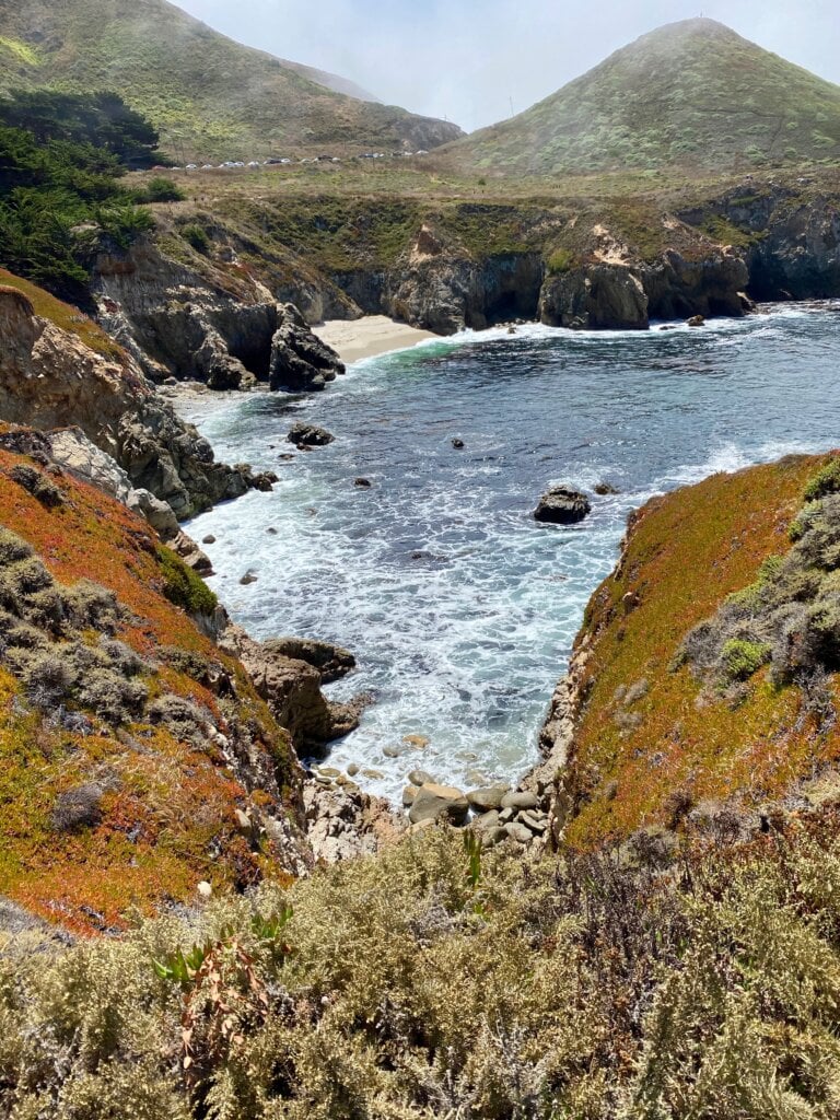 view of sea inlet and succulents in Garapata State Park