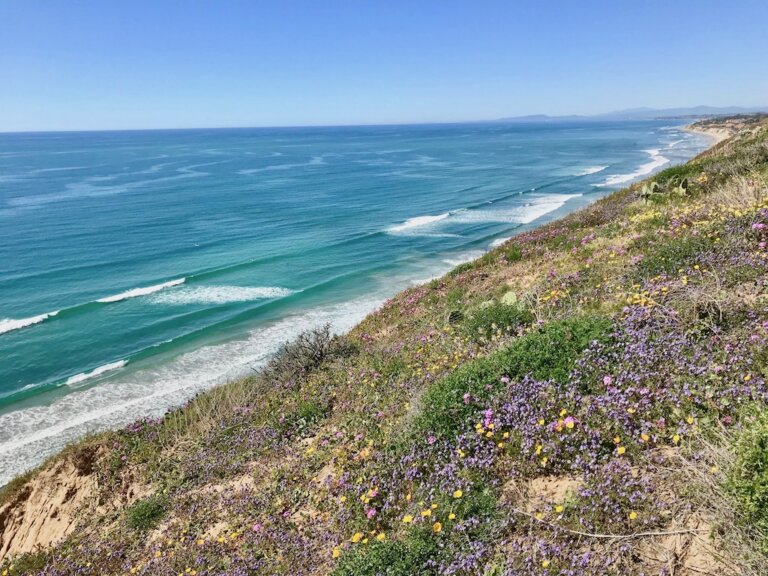 La Jolla Airbnb Beach Retreats for Every Budget Explore Now Or Never