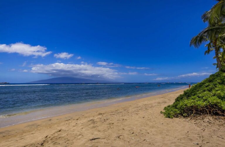 12 Fabulous Lahaina Vacation Rentals and Beach Condos for 2022 Where