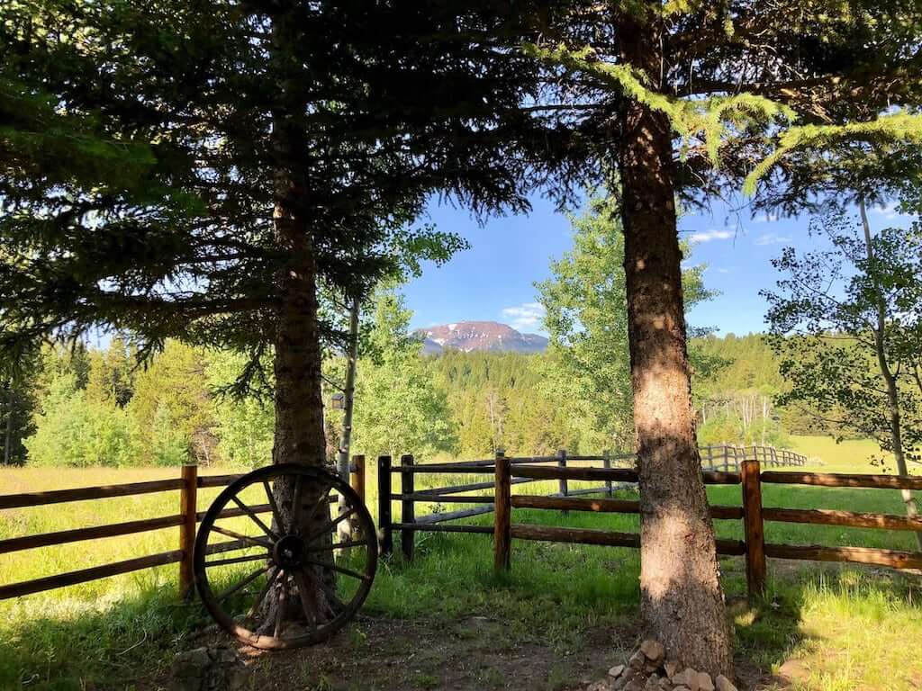 meadow and mountain view