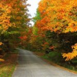country road with bright orange trees in Bennington Vermont in October