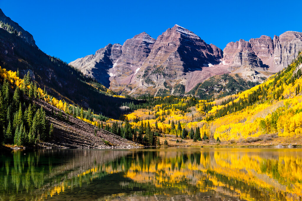 Maroon Bells mountain peaks reflecting in Maroon Lake on early autumn morning with bright blue skies and changing yellow Aspen trees on mountain slopes
