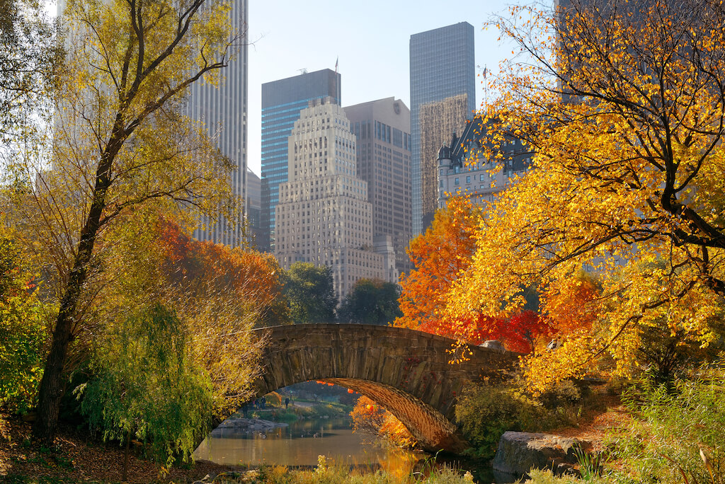 Manhattan Central Park with bridge and skyscraper in Autumn in New York City
