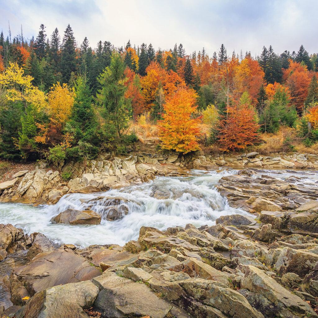 beautiful fast mountain river in autumn forest