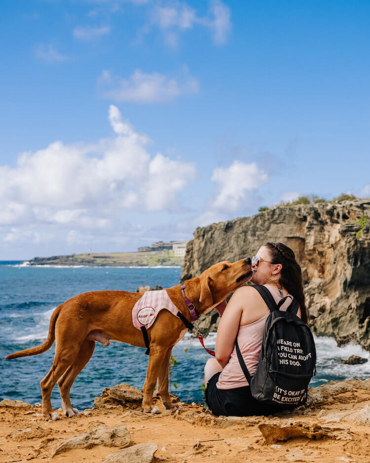 shelter dog kissing a woman at the beach on Kauai
