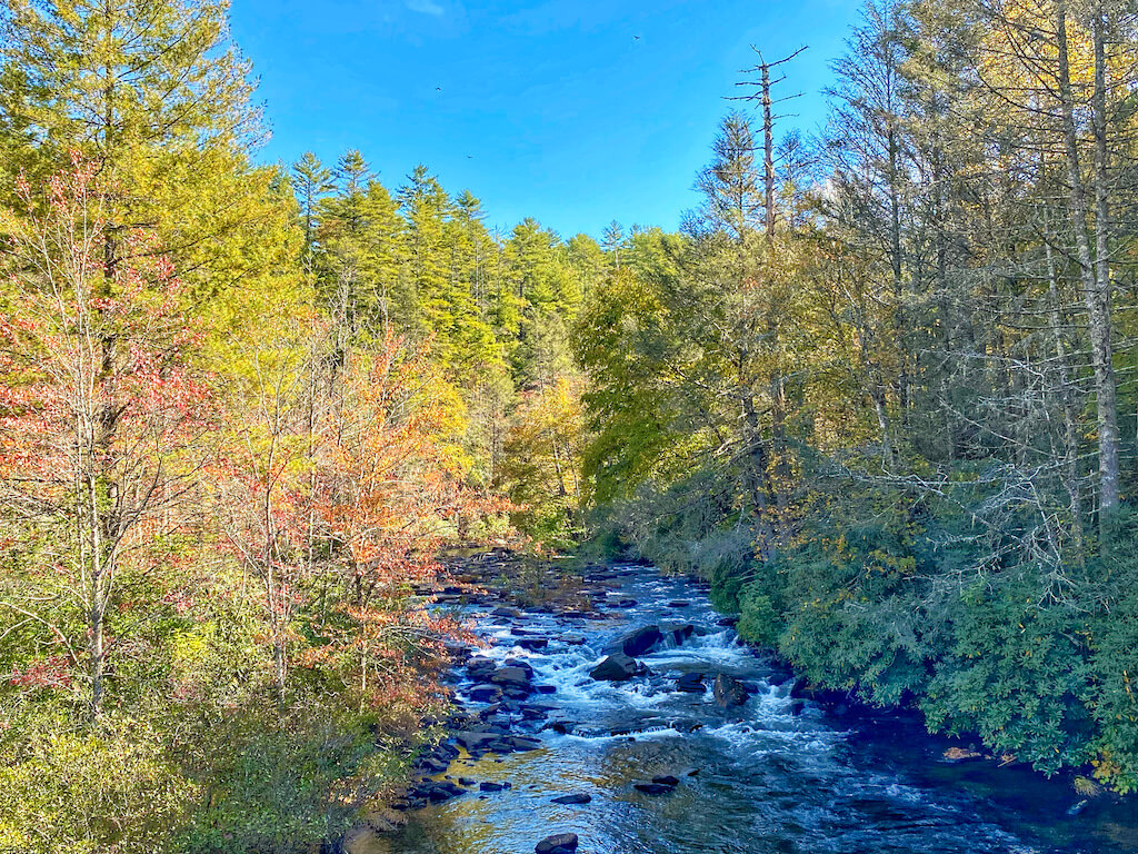 River view with fall colors in DuPont State park