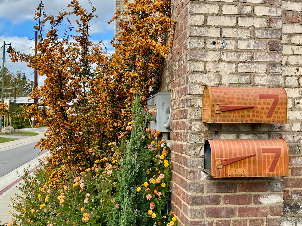 colorful orange flowers and mailboxes on a brick building in the River Arts District