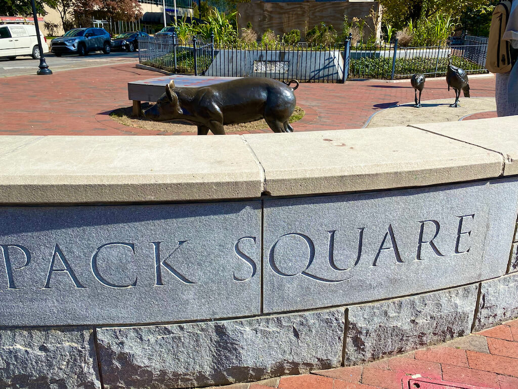 Pig and geese sculptures at Pack Square