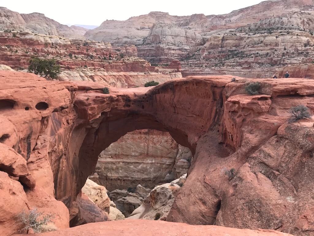 View of Cassidy Arch at Capitol Reef