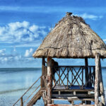 Palapa with a bird nesting on top with ocean views on Isla Holbox