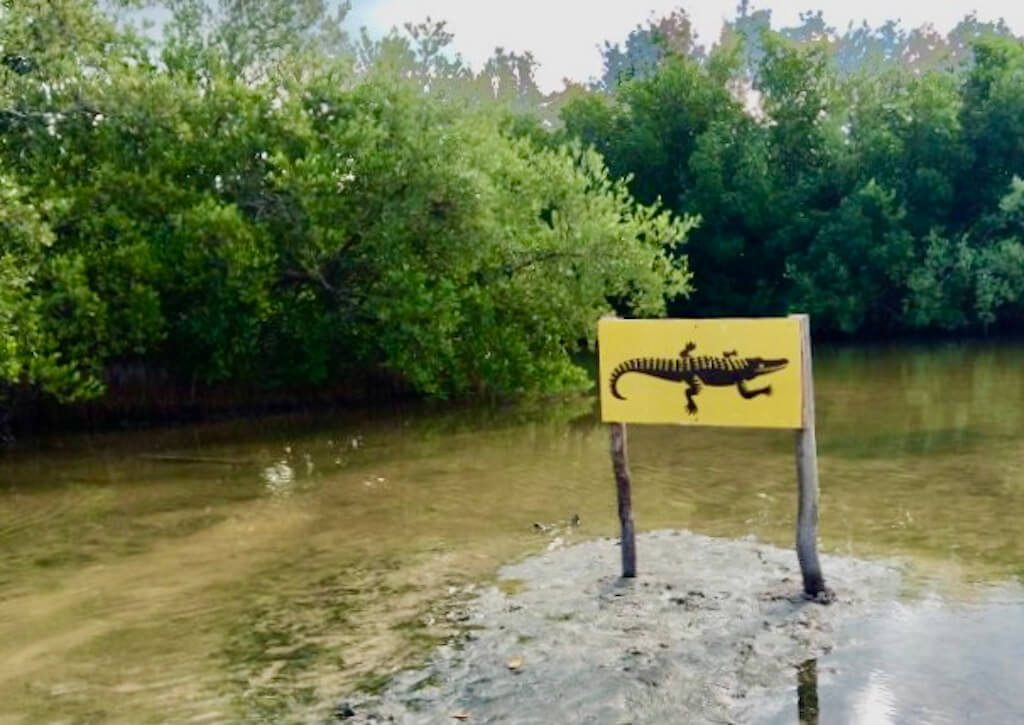 crocodile sign in the lagoon