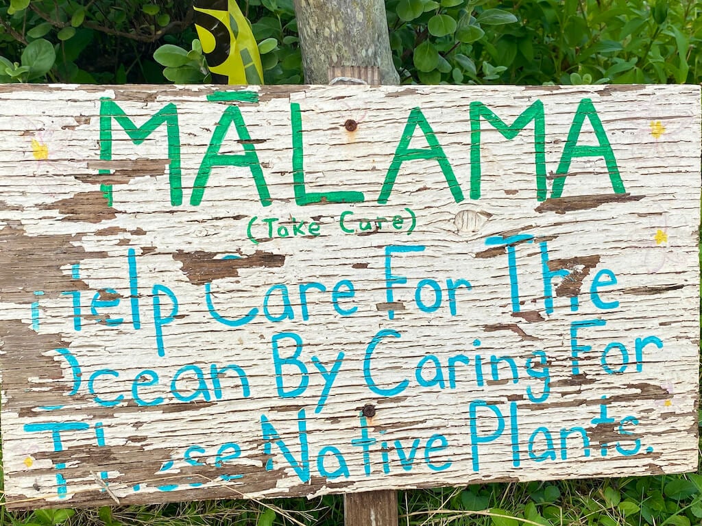 Wooden sign that reads: MALAMA (take care) Help care for the ocean by caring for these native plants