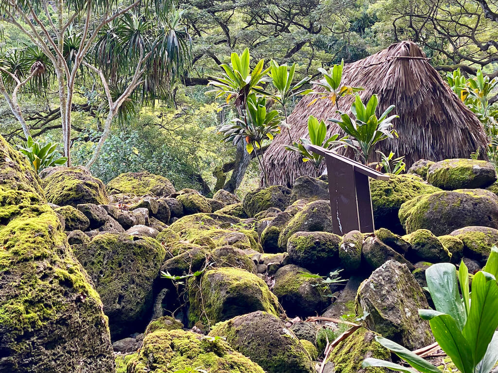 moss covered rocks and thatched Native Hawaiian hut