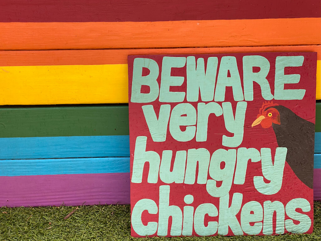 Sign. Text says "Beware very hungry chickens"