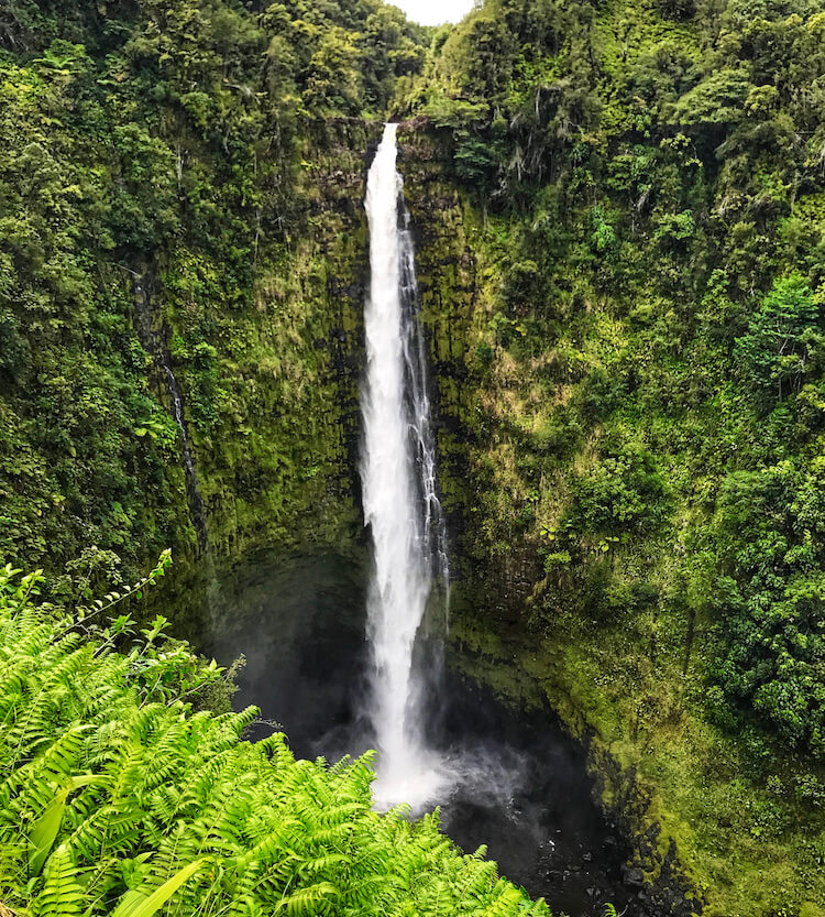 Tall waterfall tumbling into a pool at Akaka Falls
