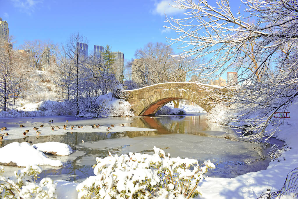Central Park draped in snow