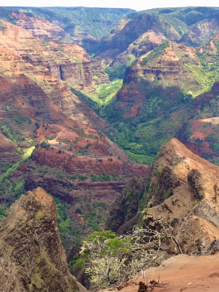 green and brown cliffs in Waimea Canyon