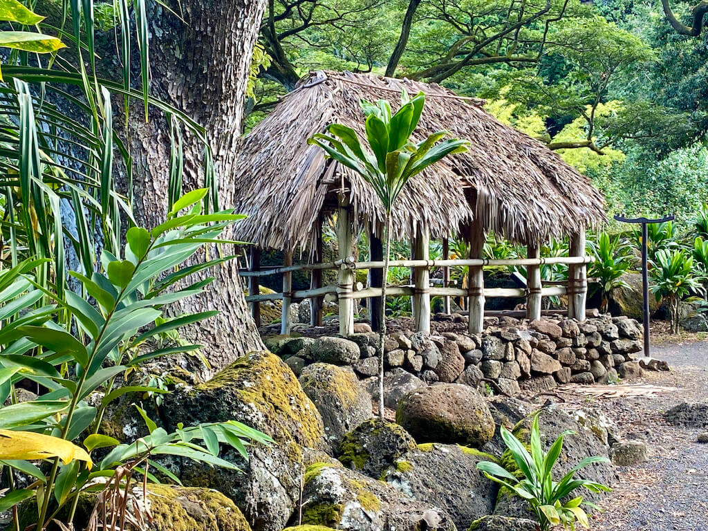 traditional Hawaiian hut in Waimea Valley
