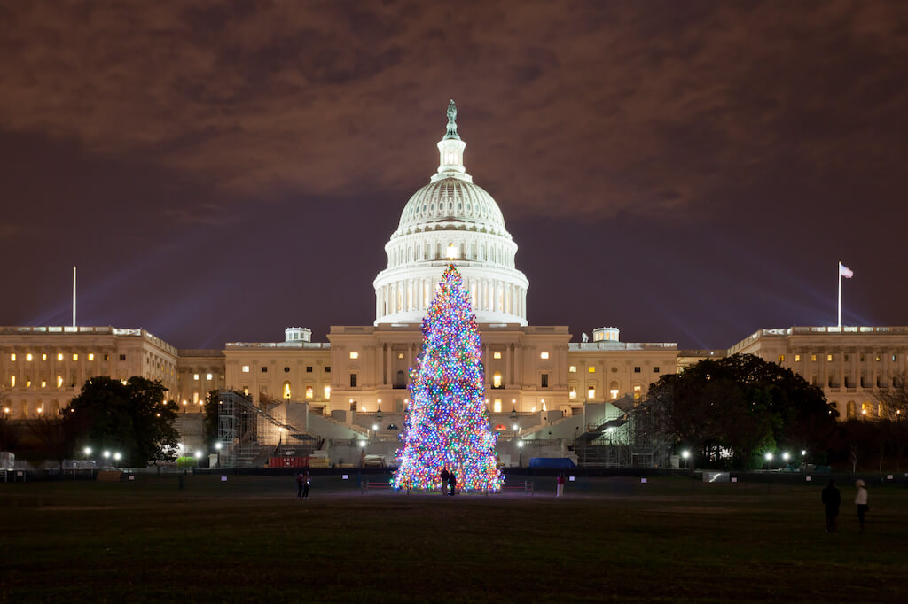 Christmas tree lit up at night in front of The White House