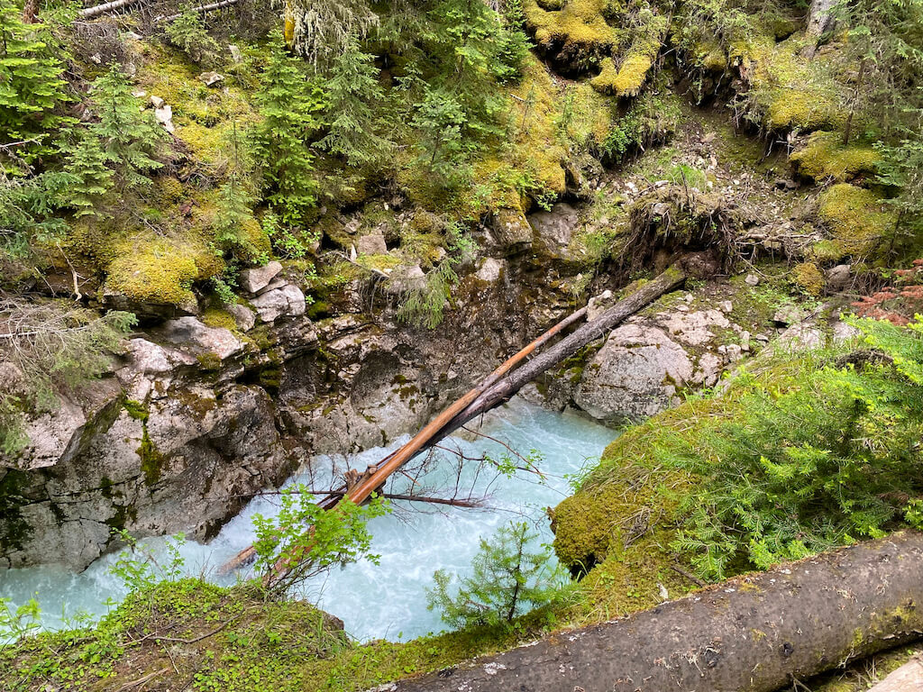 view of turquoise river in Johnston Canyon