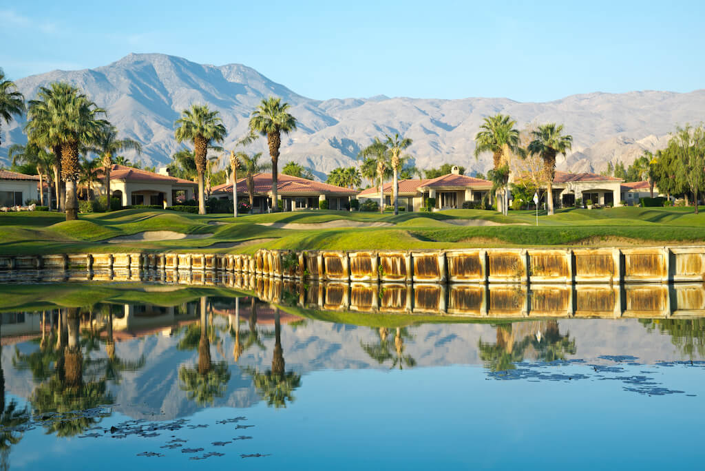 palm trees, mountains and a golf course in Palm Springs