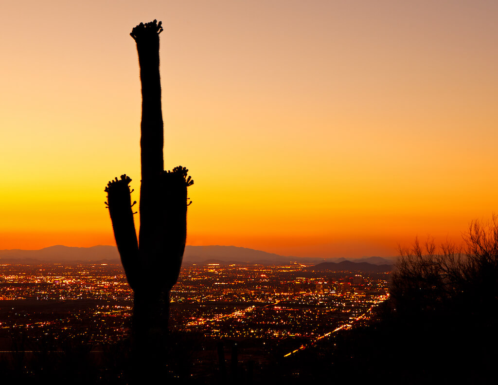 A beautiful golden sunset over the city lights of downtown Phoenix with a silhouette of a blooming Saguaro cactus in the foreground.