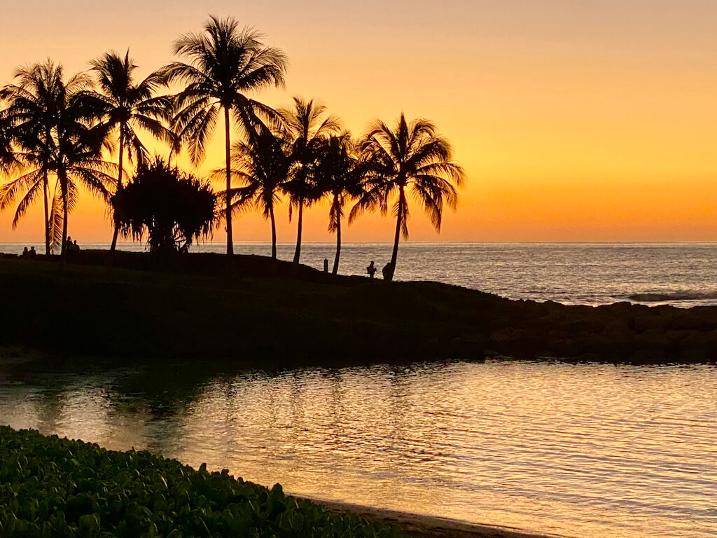 bright orange sunset over palm trees and ocean in Oahu in February