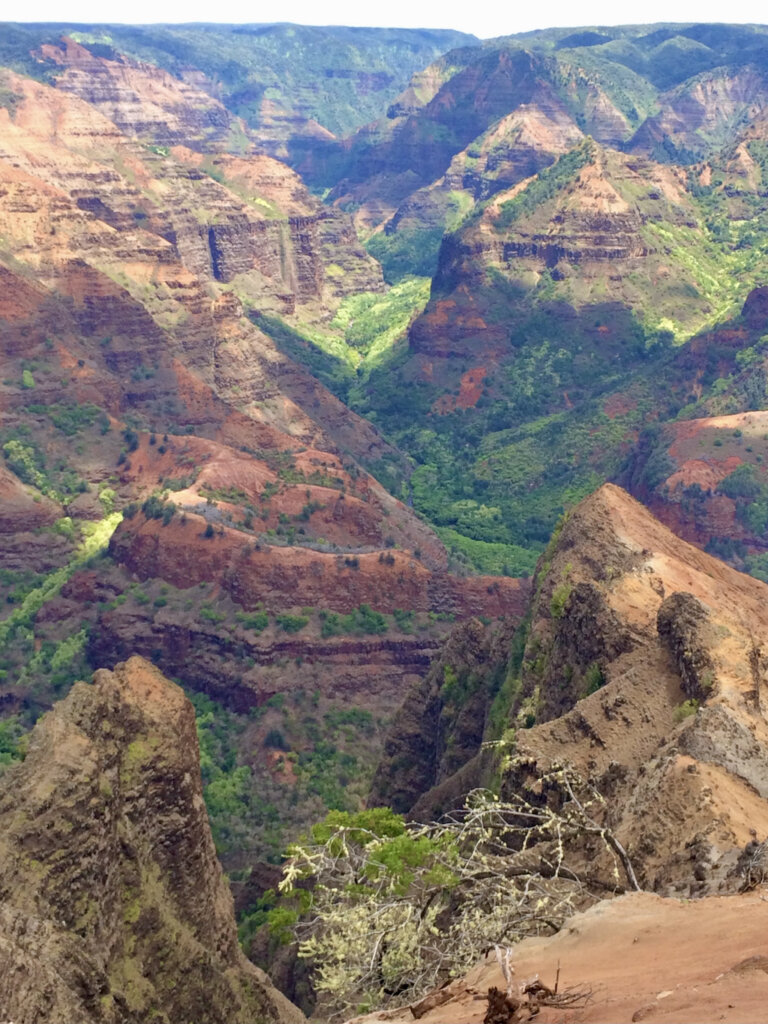 dramatic brown cliffs and green valleys in Waimea Canyon
