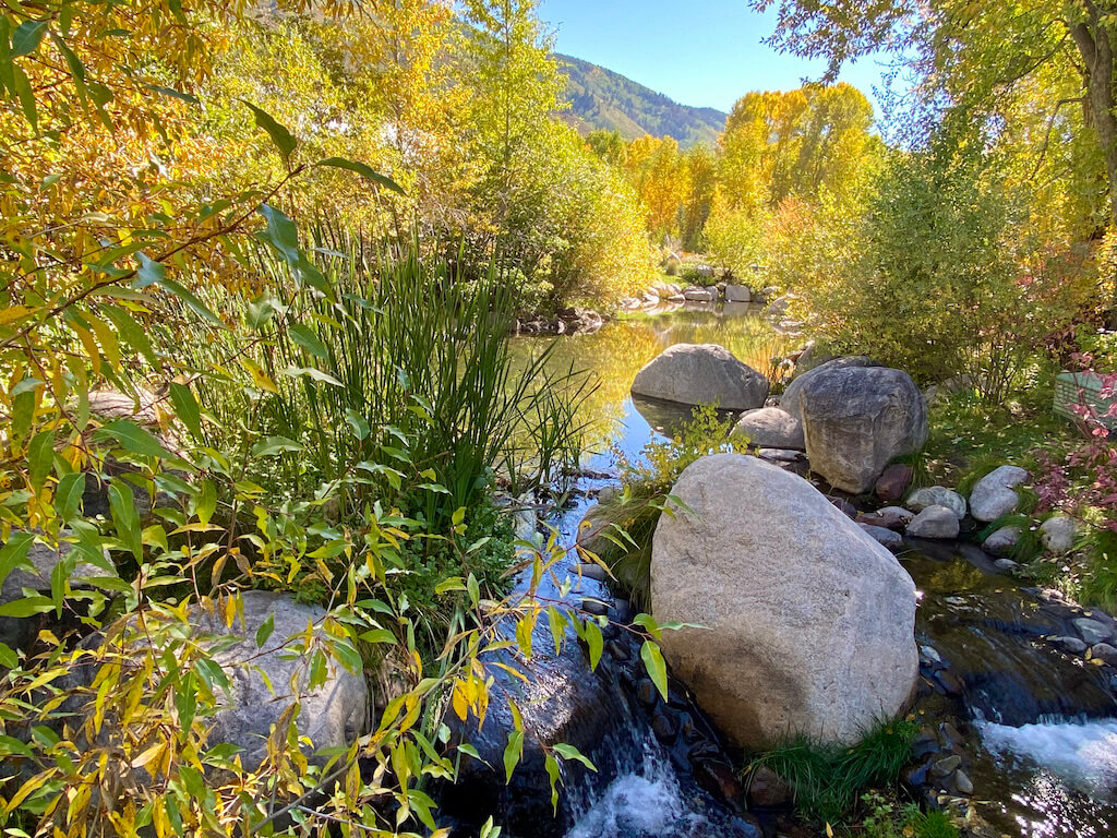 fall color at John Denver Sanctuary in Aspen