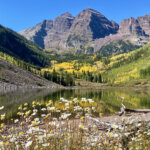 Maroon Bells with yellow aspens and daisies in foreground