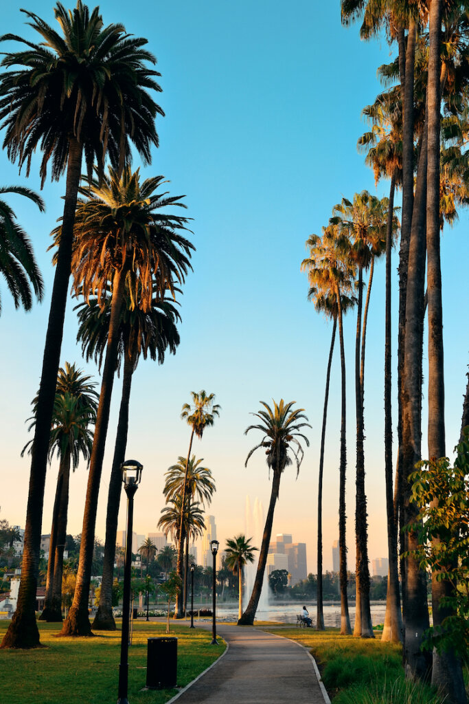 Downtown Los Angeles with Palm trees